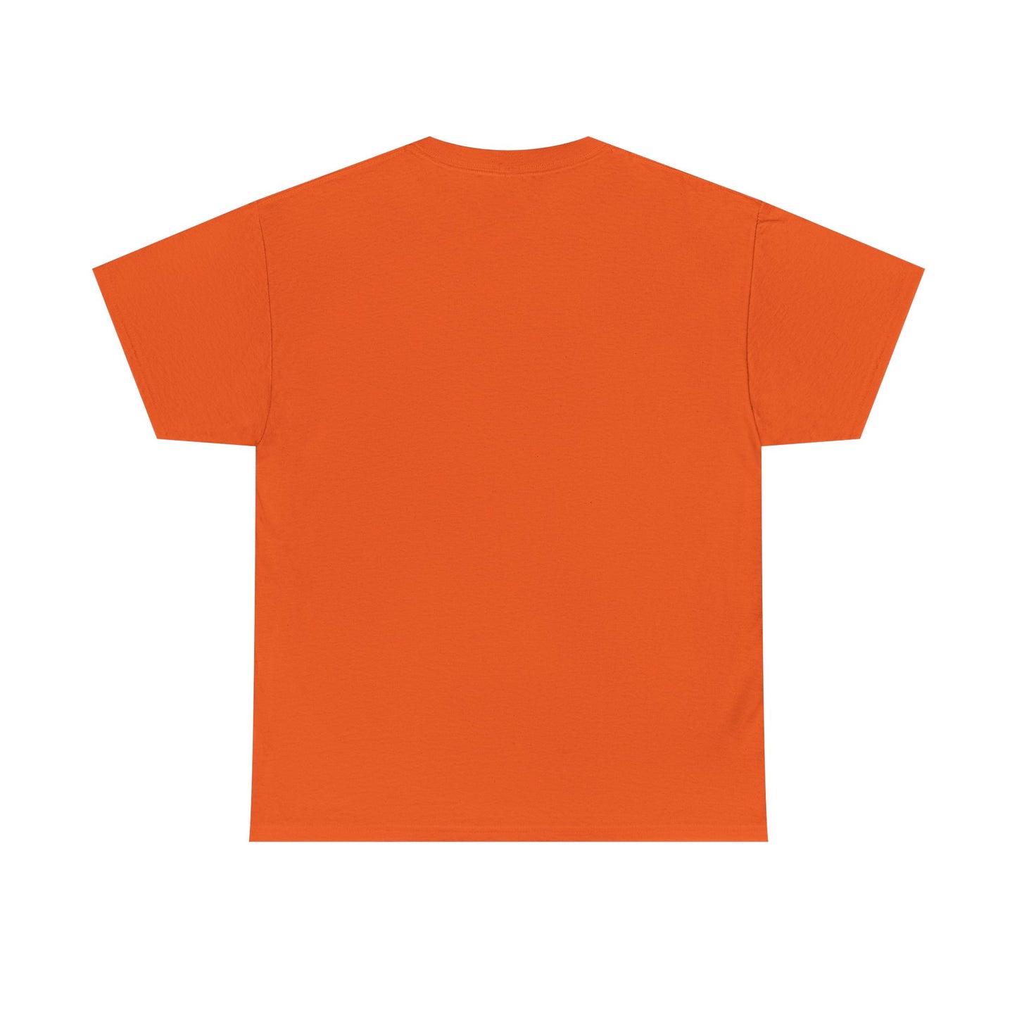 Vintage EST 1969 Unisex Heavy Cotton Tee
